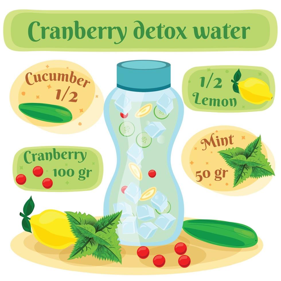 illustration vectorielle de cranberry detox eau composition plate vecteur