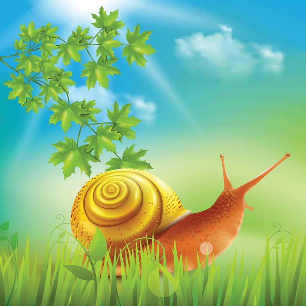 escargot en illustration vectorielle réaliste d & # 39; herbe vecteur