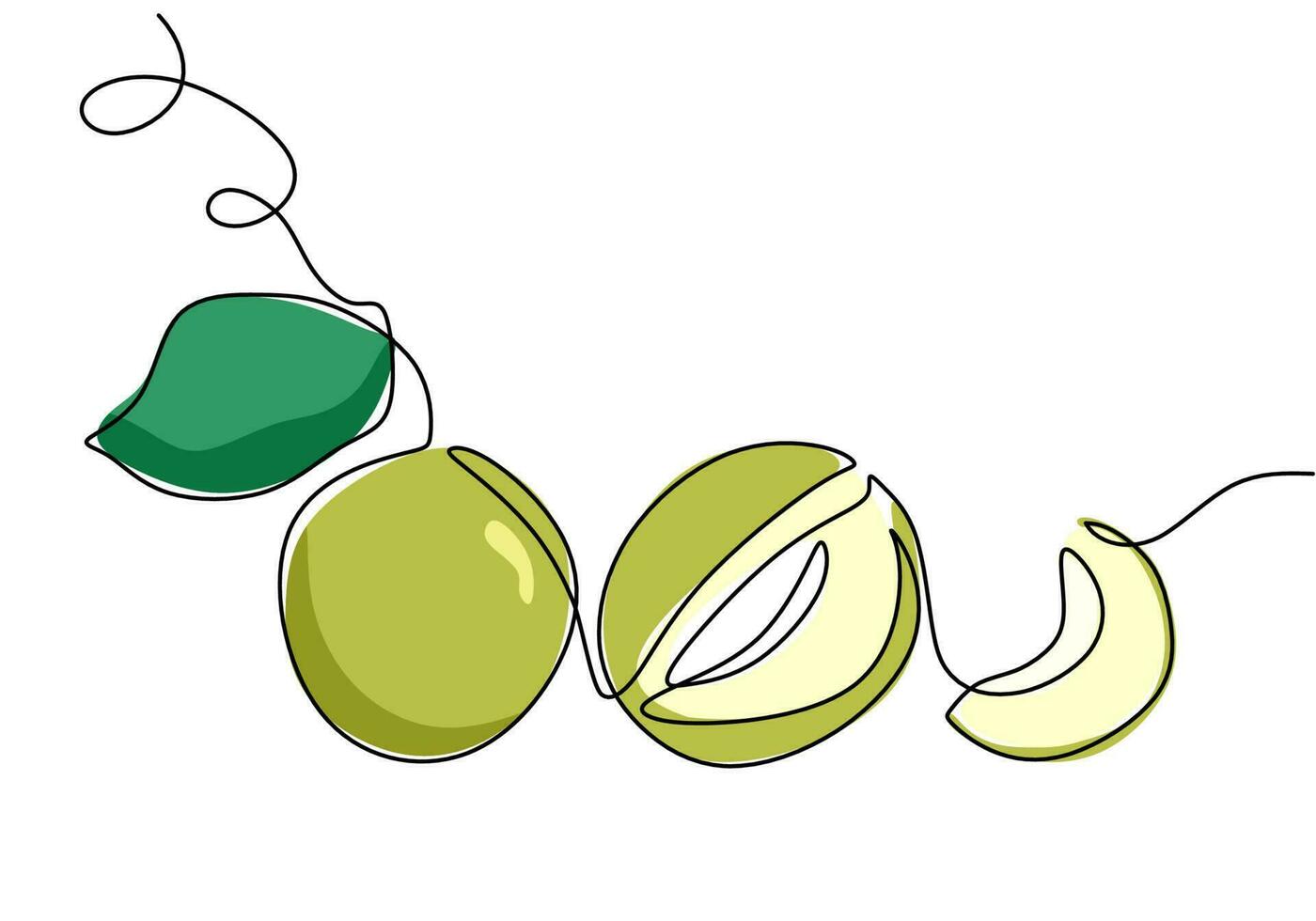 melon continu un ligne dessin, fruit vecteur illustration.