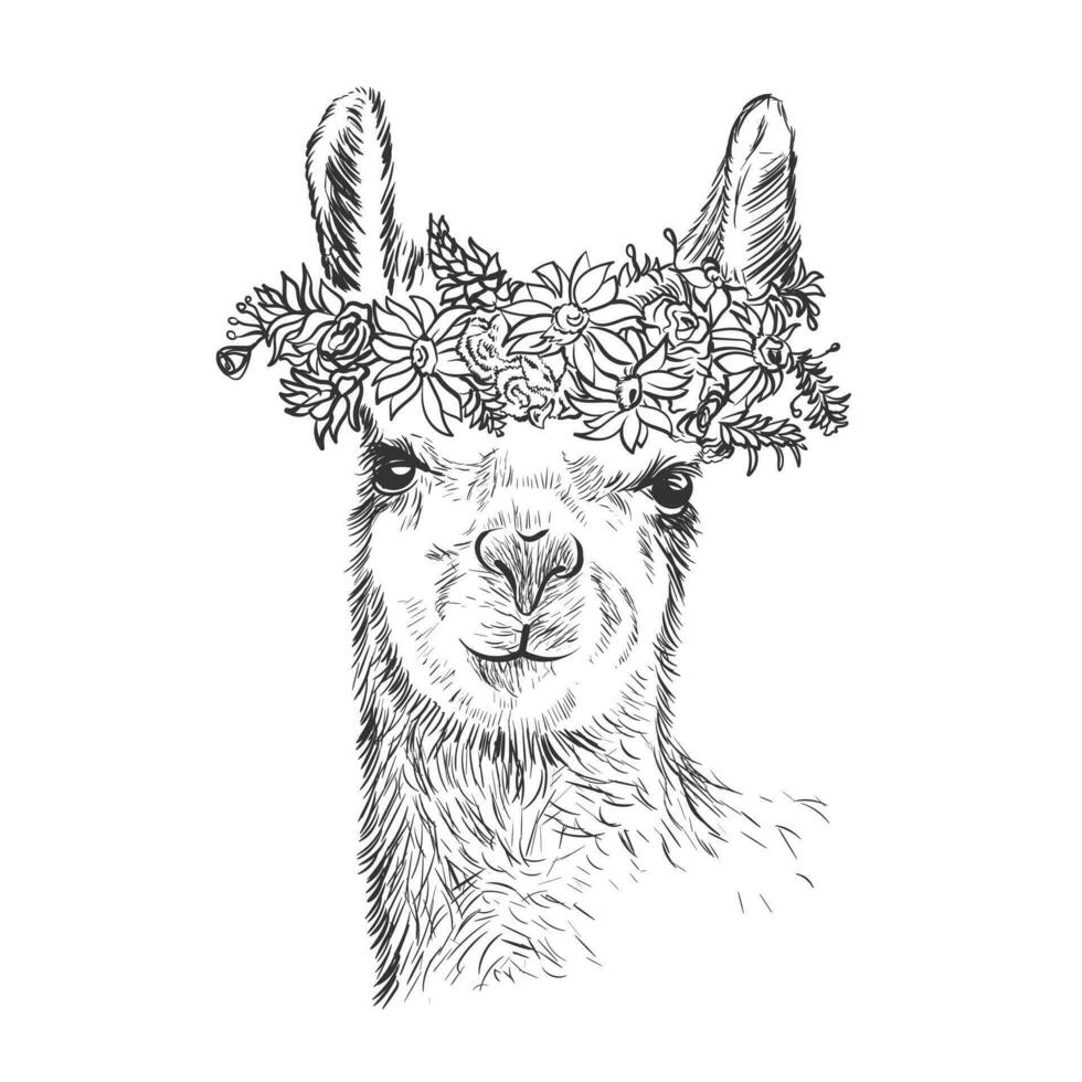 réaliste main tiré adulte mère lama alpaga avec fleur au dessus tête portrait vecteur illustration