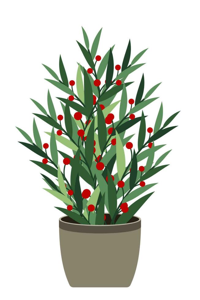 Accueil plante. mis en pot plante isolé. décoratif vert plante d'appartement dans pot. plante dans pot. vecteur illustration