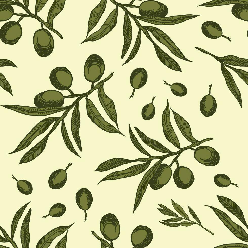 vecteur graphique de olive branches. modèle sur une lumière Contexte. sans couture modèle avec olive branches graphique. graphique Contexte avec vert Olives. monochrome olive branches.