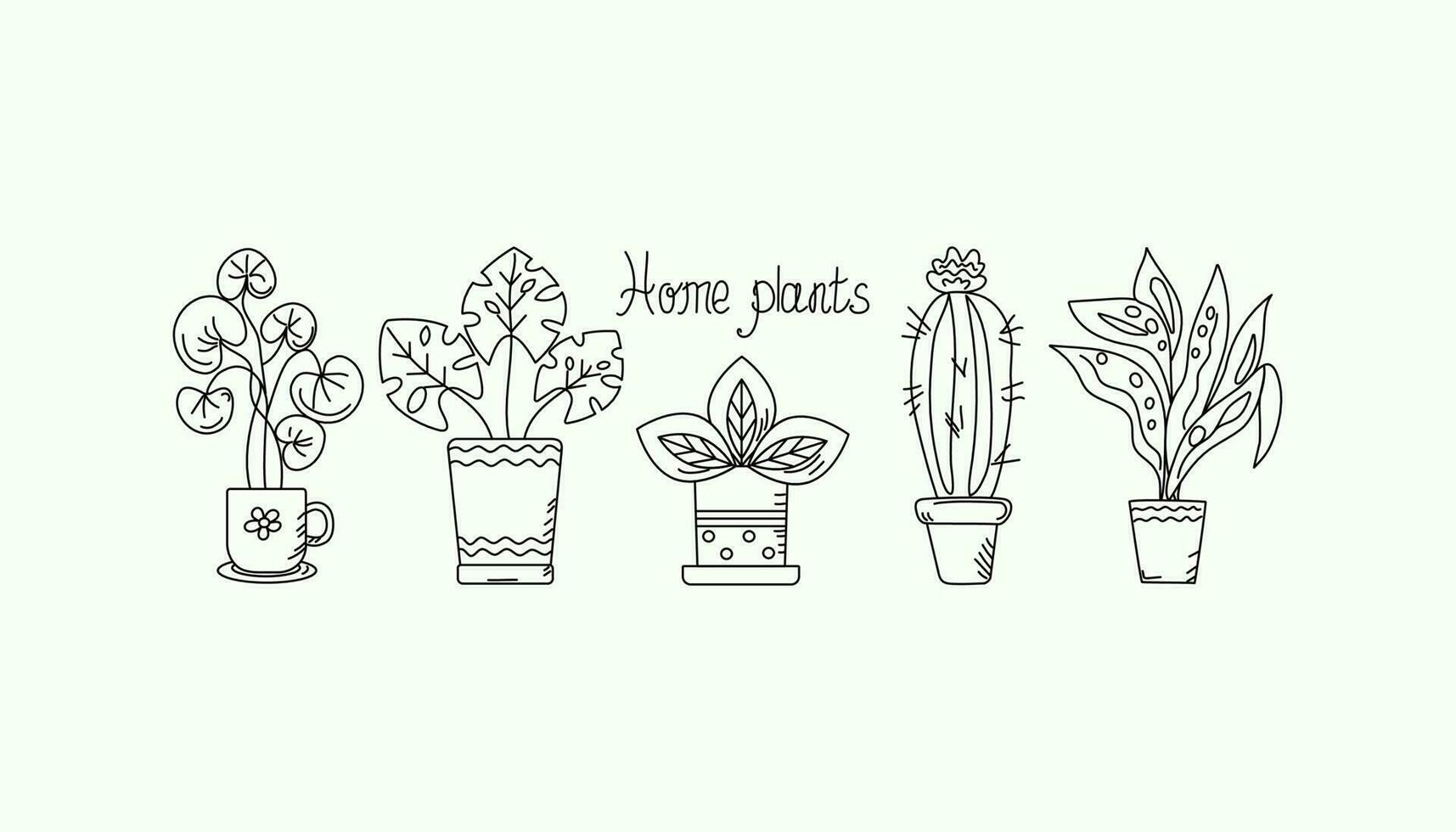 Accueil plante dans une pot. ensemble de mis en pot les plantes. cactus, succulent, feuilles, fleurs. ligne dessins. vecteur graphique.