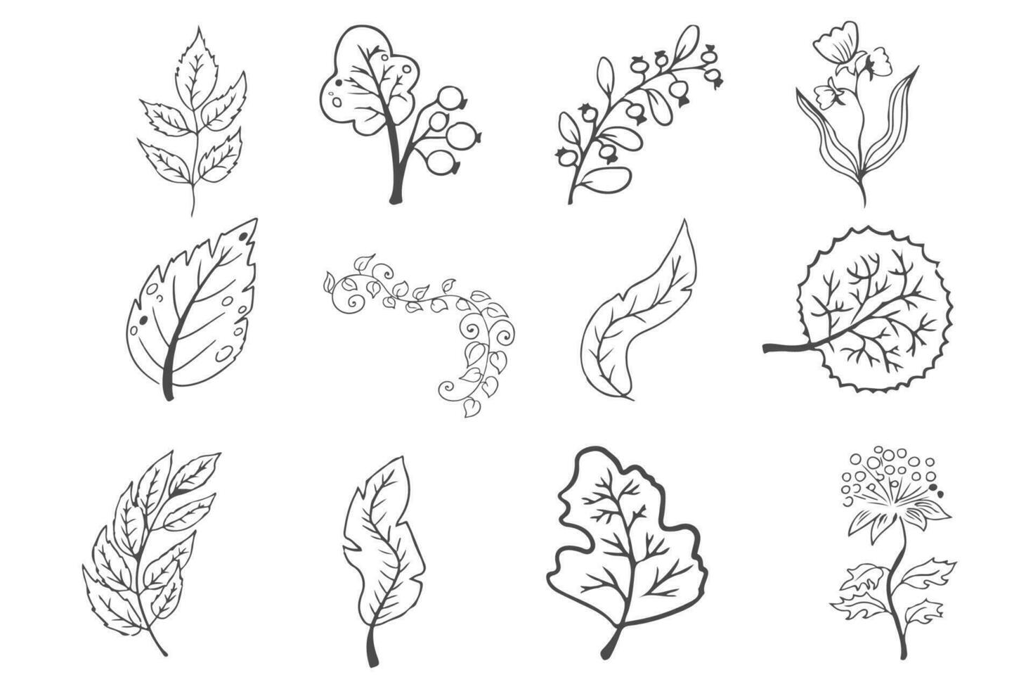 griffonnage main tiré feuilles, feuillage, mignonne élégant esthétique plante isolé sur blanc Contexte. frontière, conception élément, vague dessin. vecteur illustration
