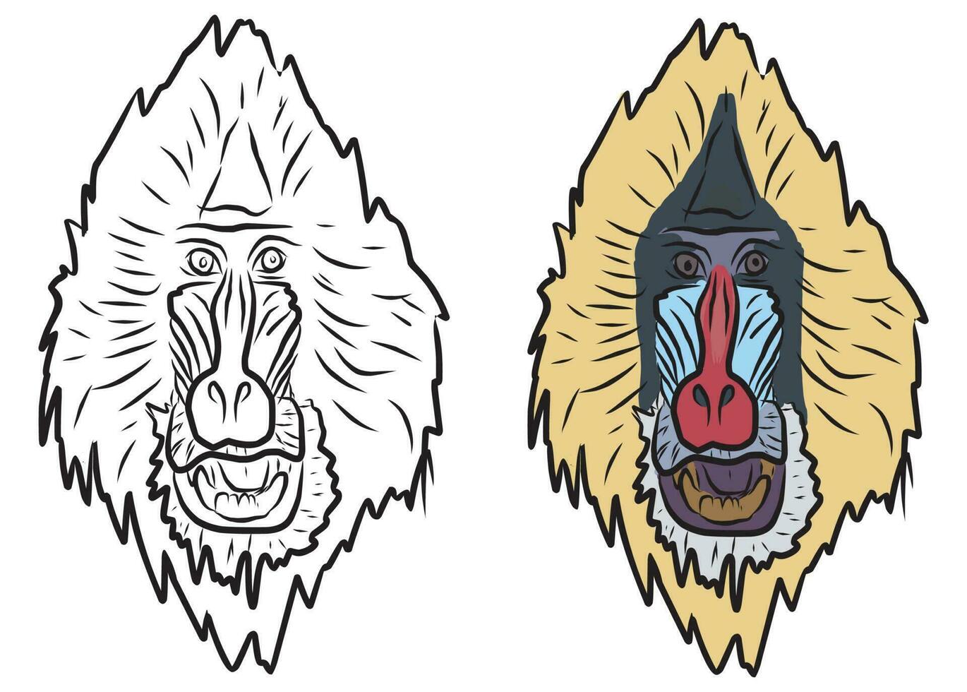 des photos pour éducation coloration babouin têtes, adapté pour dessin livres, coloration applications et plus vecteur
