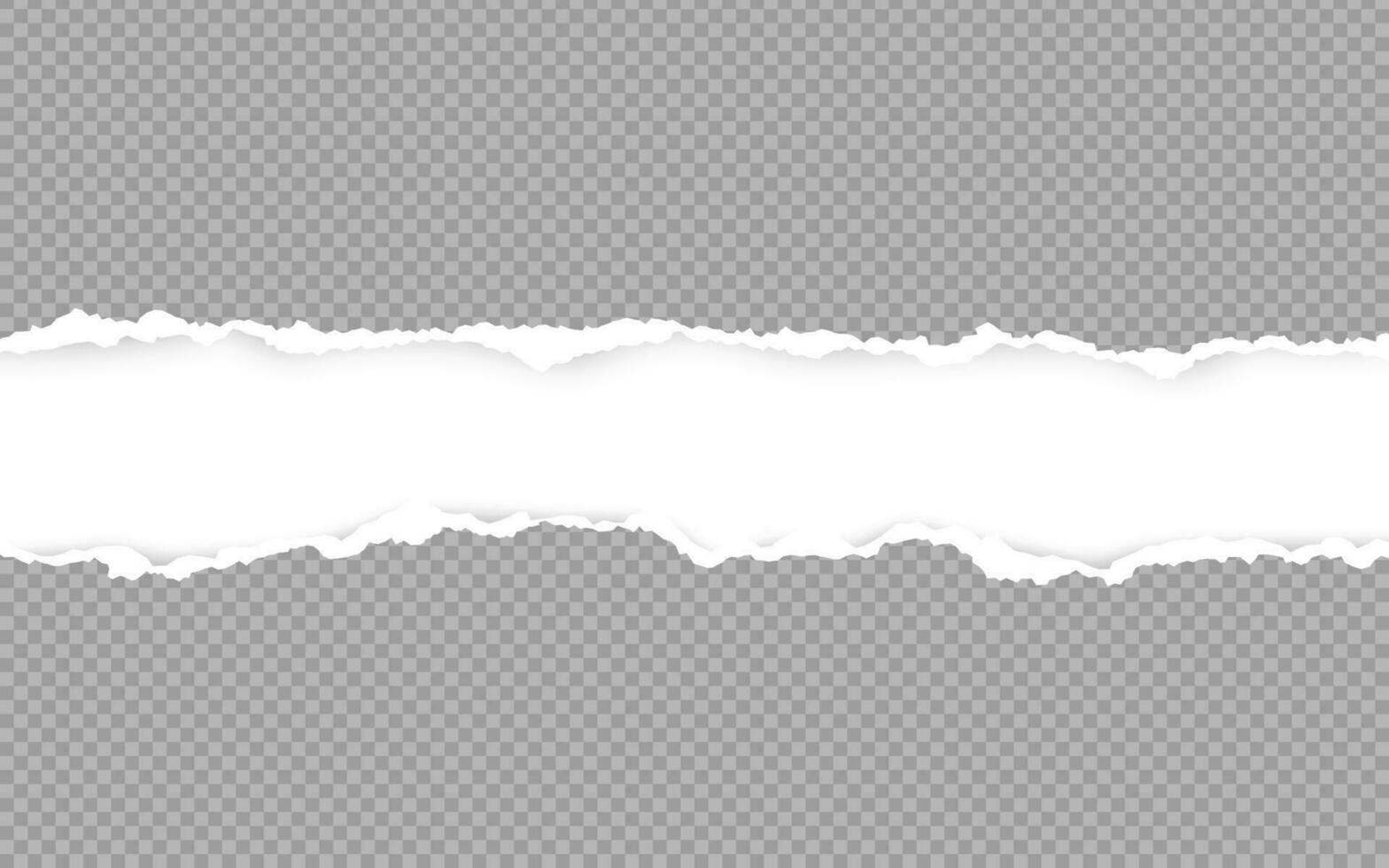 horizontal déchiré papier bord. déchiré au carré horizontal blanc papier bandes. vecteur illustration