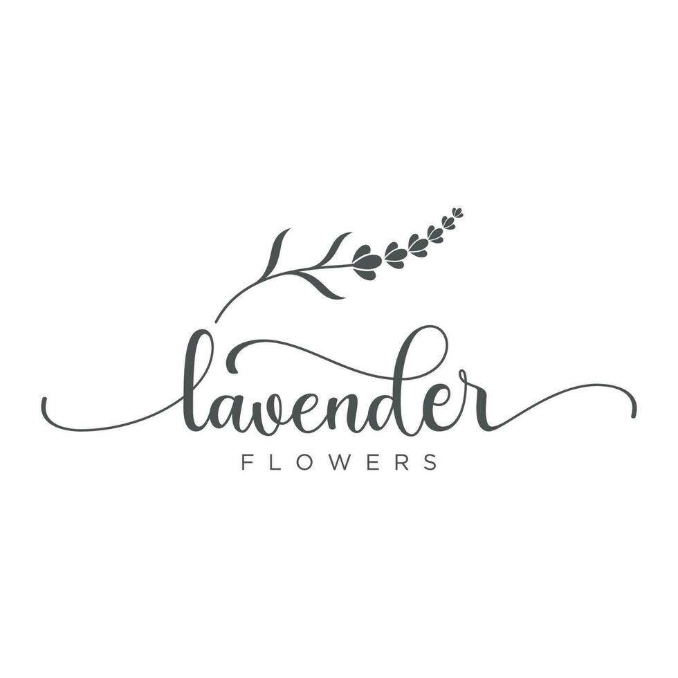 main tiré biologique lavande fleur logo modèle design.logo pour cosmétique, beauté, thé, huile, herbe. vecteur