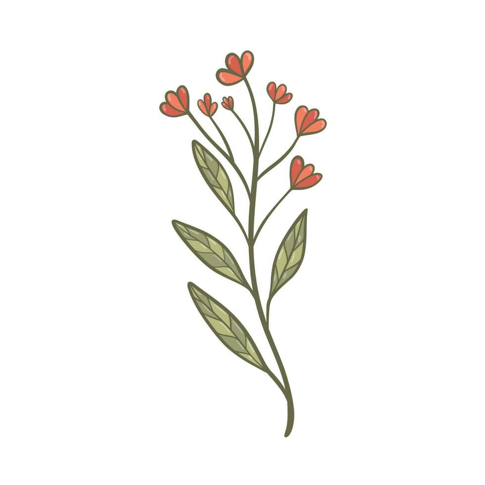 coloré fleur, main dessiné, vecteur plat illustration. floraison les plantes avec tiges et feuilles isolé sur blanche. floral décoration ou cadeau. pour votre conception