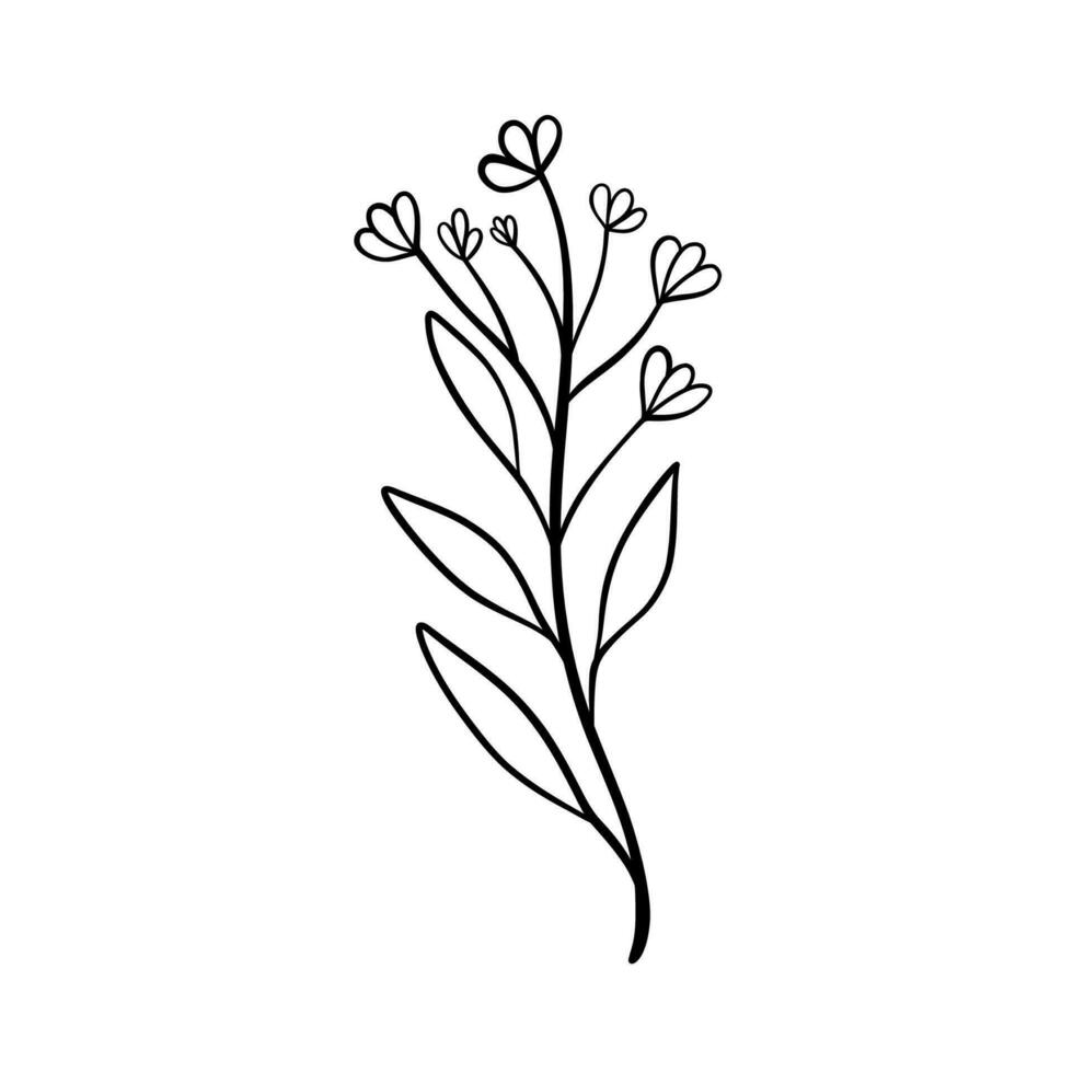 silhouettes noires d'herbe, de fleurs et d'herbes isolés sur fond blanc. fleurs et insectes de croquis dessinés à la main. vecteur