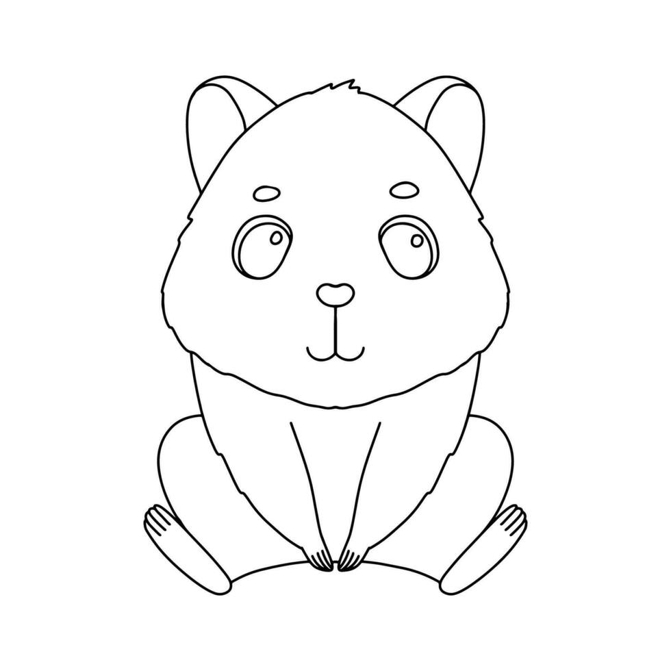 ligne mignonne séance hamster. vecteur contour graphique illustration, personnage bébé animal isolé sur blanc Contexte