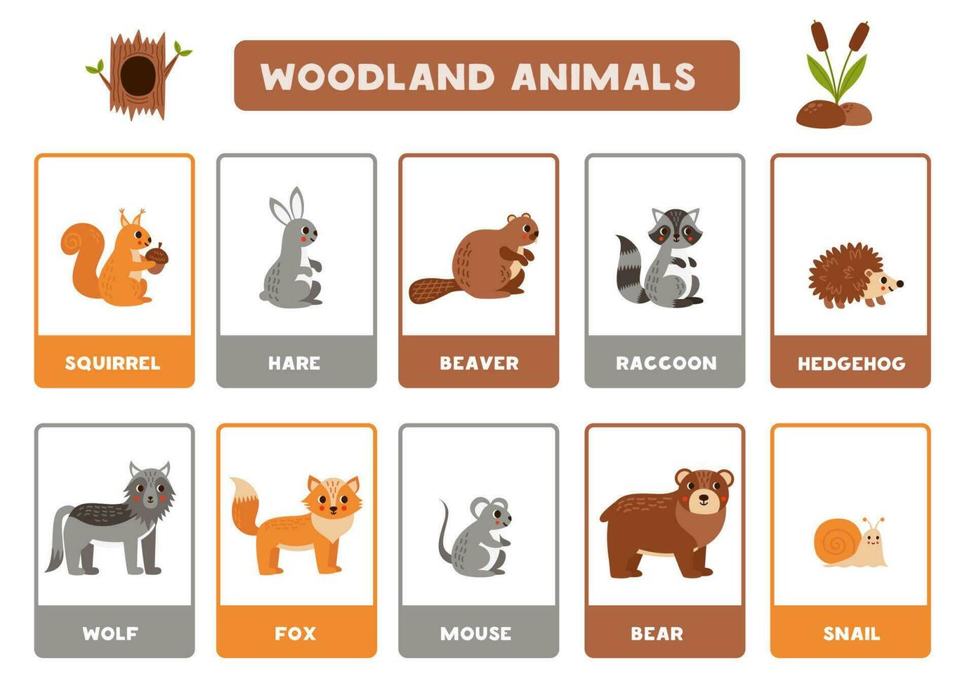 mignonne dessin animé des bois animaux avec des noms. flashcards pour apprentissage Anglais. vecteur