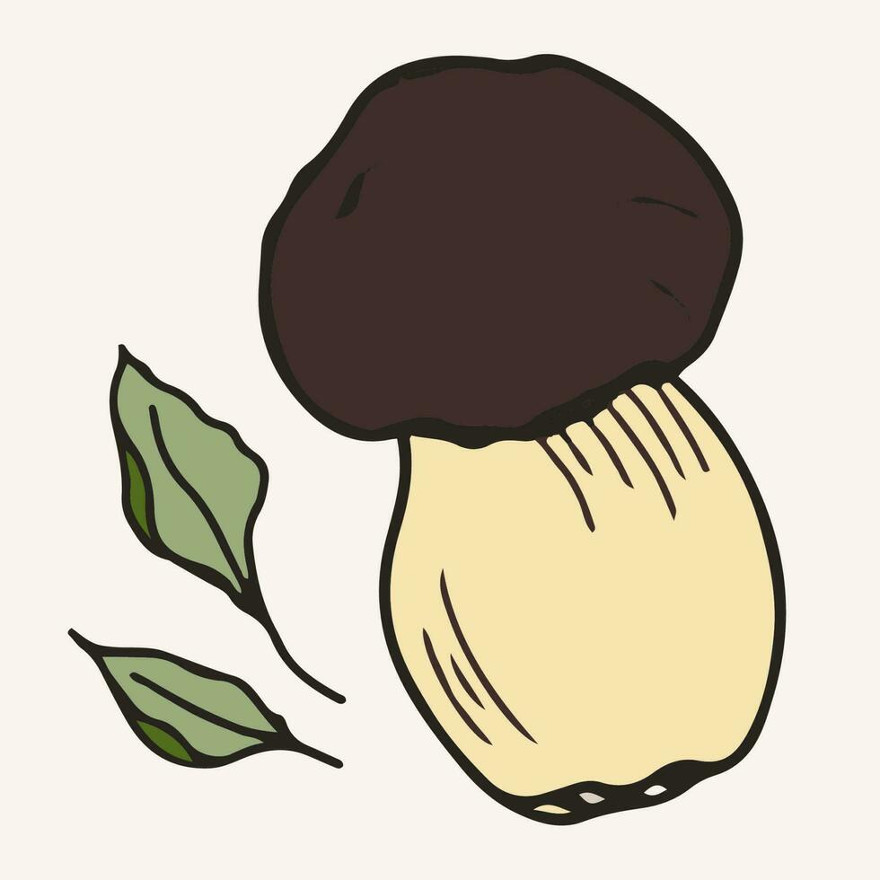 cèpes champignons avec laurier feuilles, vecteur illustration. main tiré art de comestible champignons.