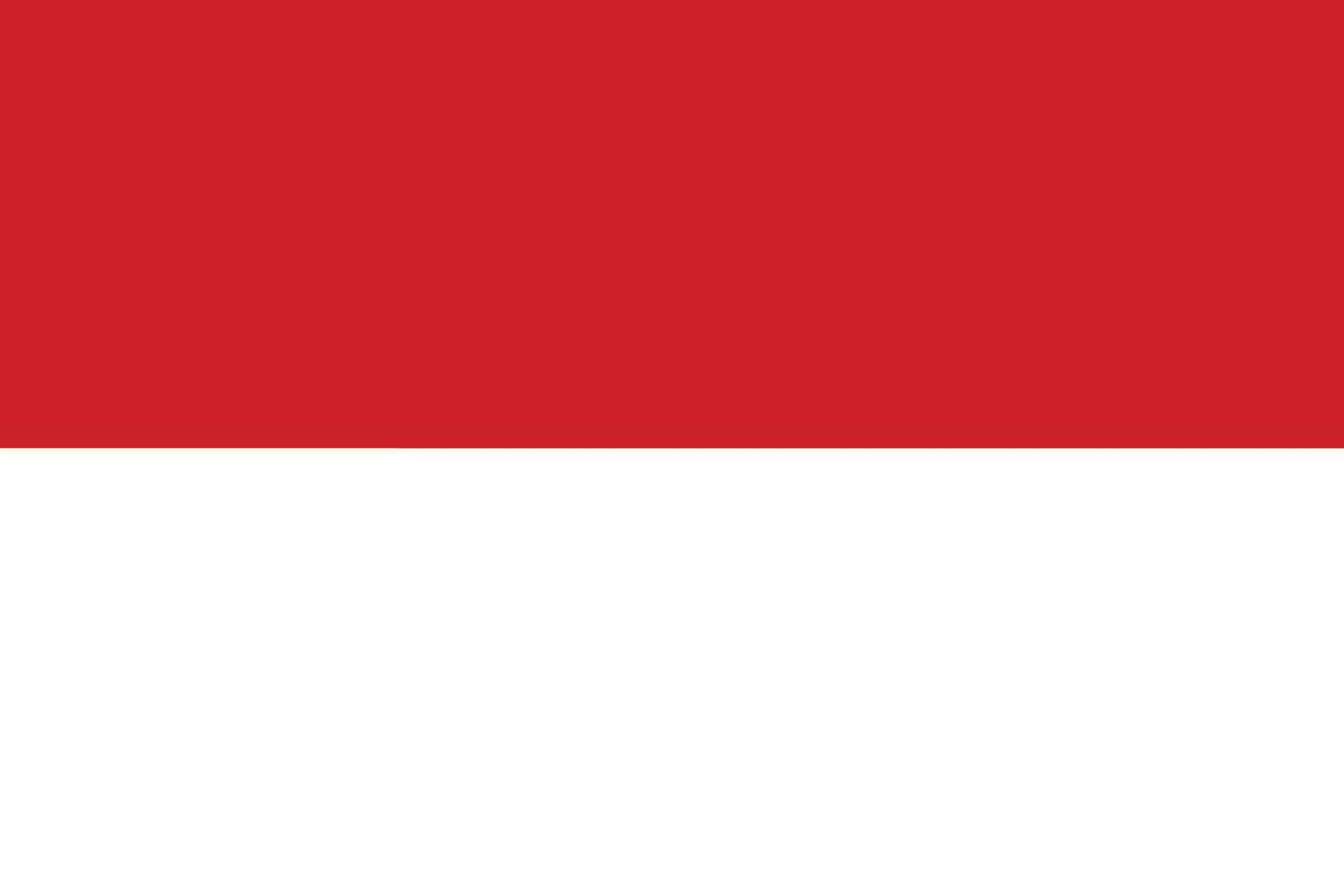drapeau de Indonésie. indonésien drapeau vecteur