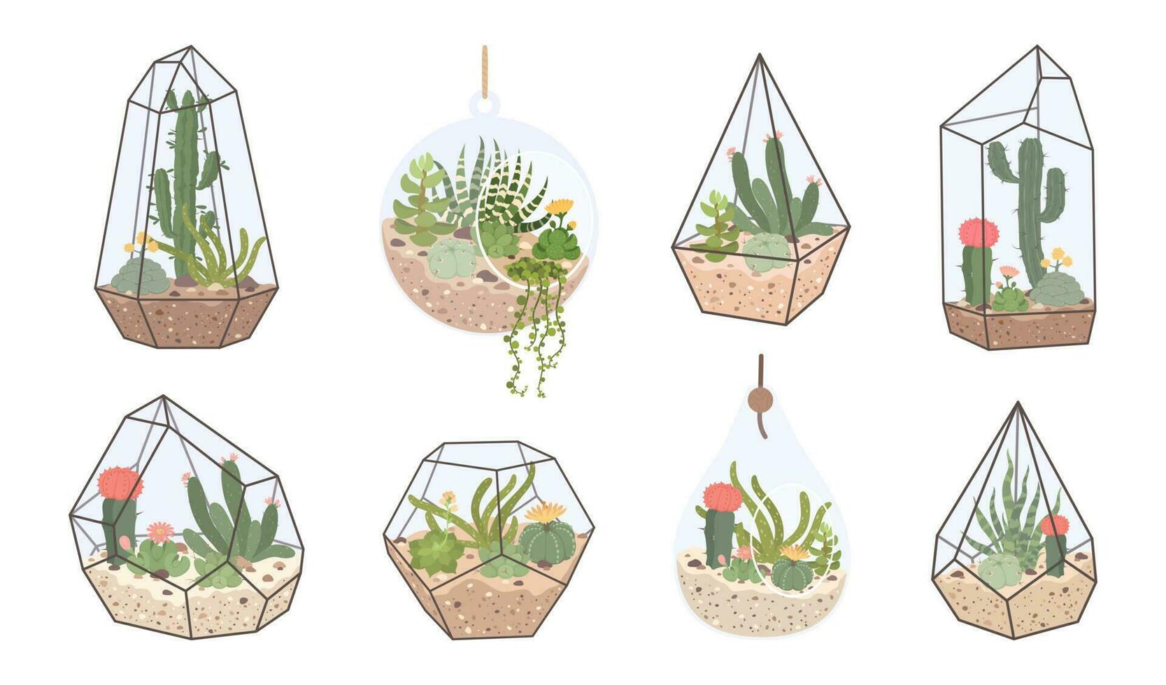 mignonne verre floraux, géométrique terrarium avec plantes succulentes et cactus. terrariums avec tropical désert les plantes pour Accueil intérieur décor vecteur ensemble