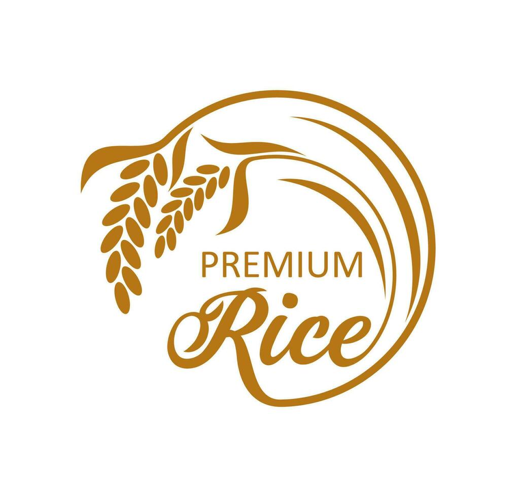 riz cultiver, biologique produit icône ou symbole vecteur