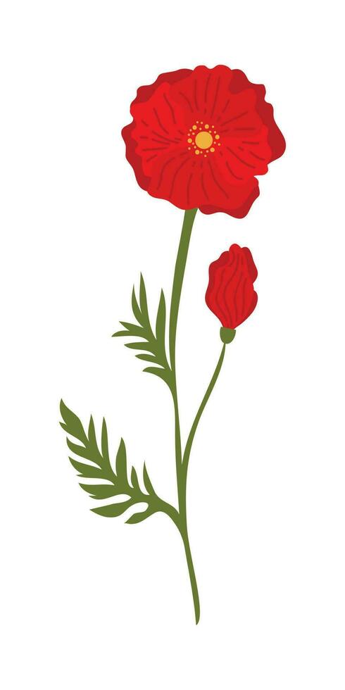 coquelicot fleur élément illustration. vecteur rouge coquelicots isolé sur une blanc Contexte.