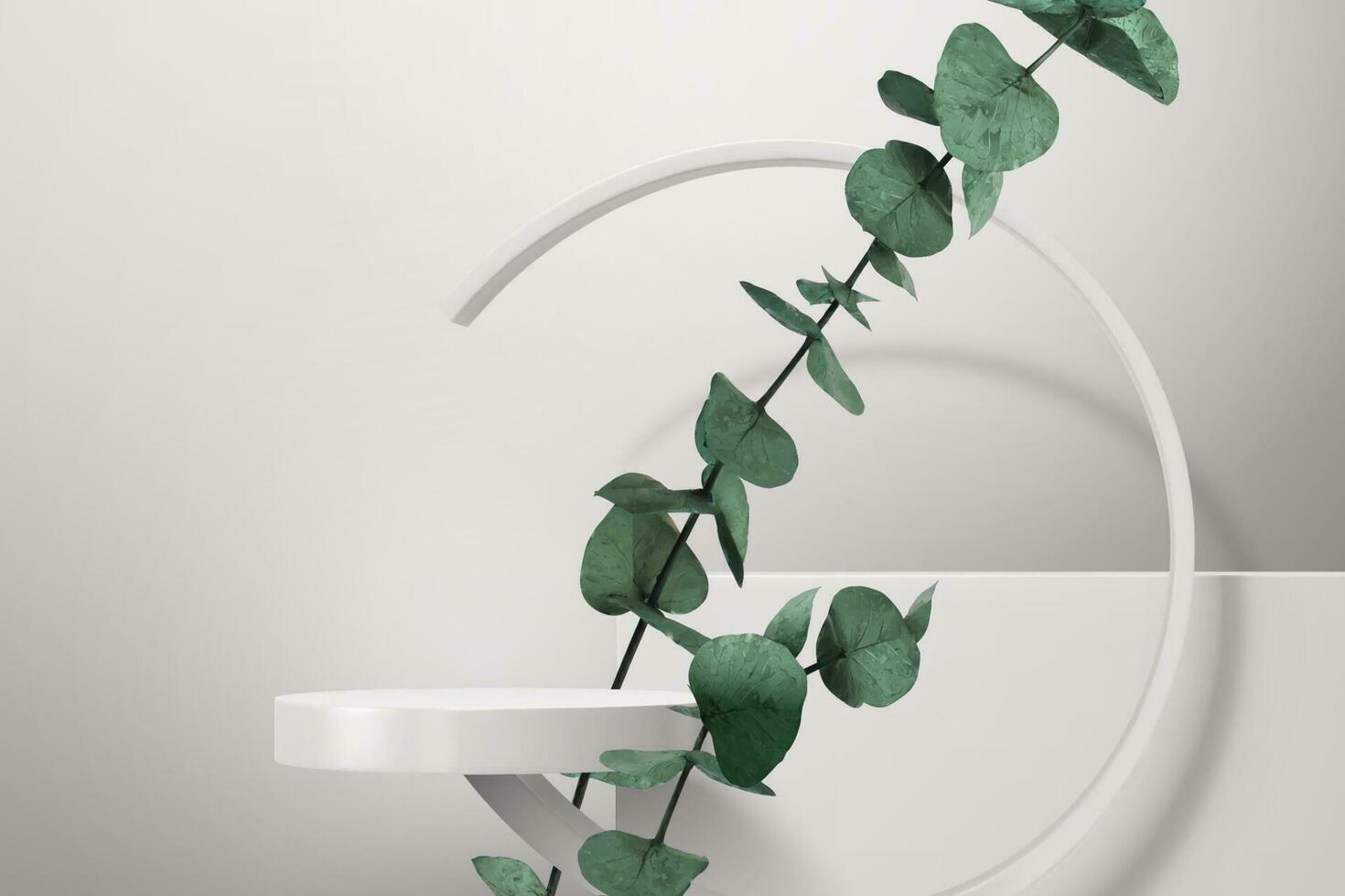 rond étape avec plante sur blanc Contexte. 3d illustration de produit afficher étape avec géométrique Cadre. vecteur