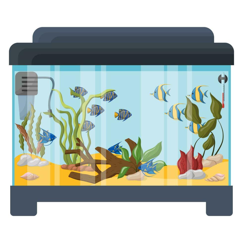 rectangulaire aquarium avec poisson et algues. vecteur illustration isolé sur une blanc Contexte.