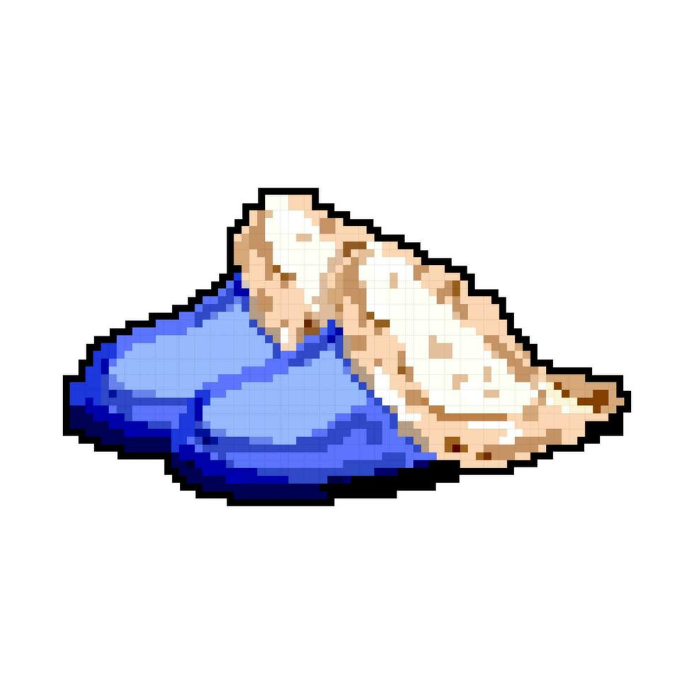 Accueil femme chaussons Jeu pixel art vecteur illustration