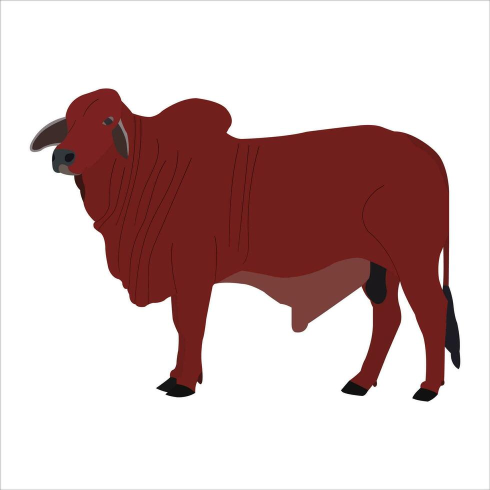 une magnifique rouge taureau vecteur art travail.