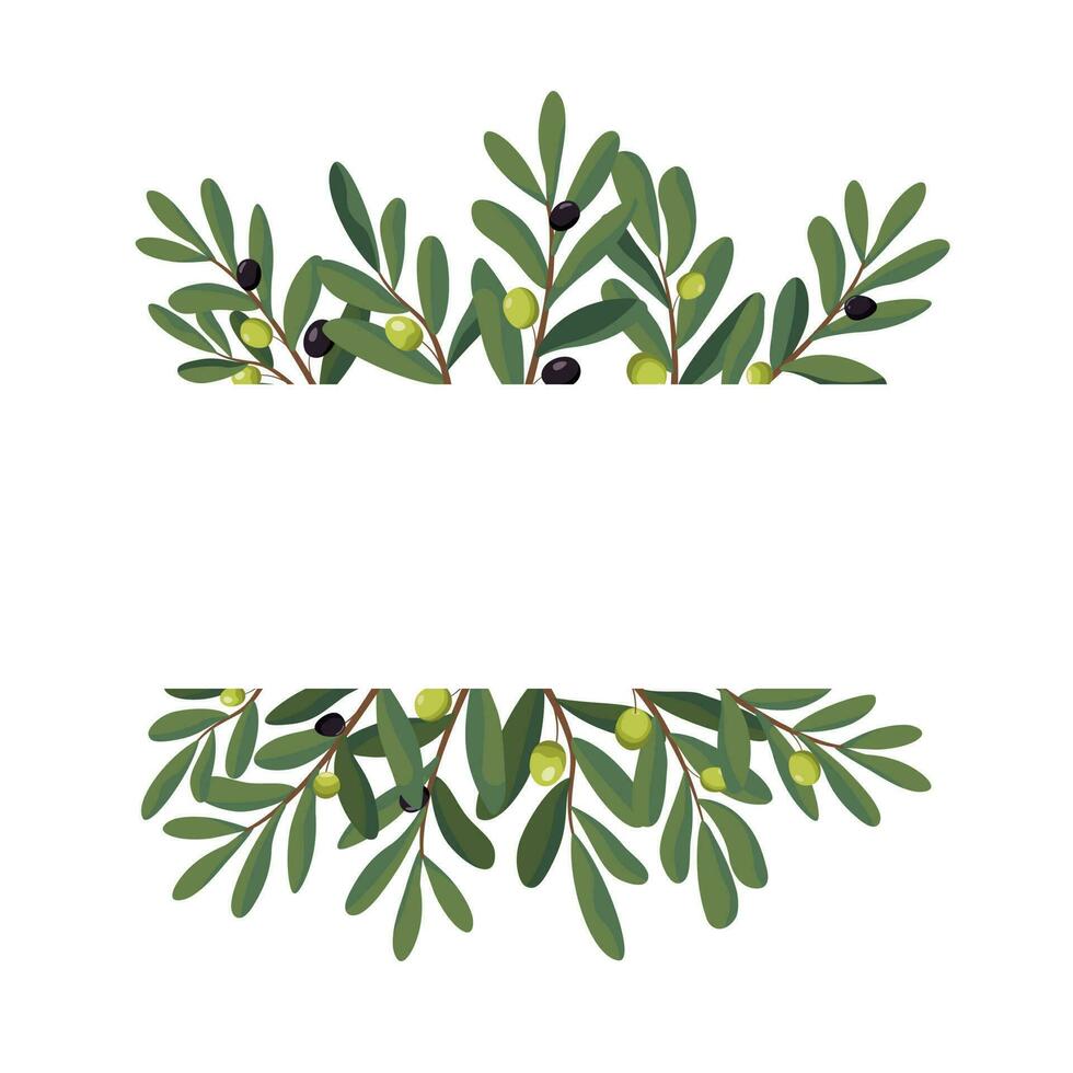horizontal Cadre avec olive branches et des fruits dans une dessin animé style. vecteur illustration. olive Cadre pour emballage, étiqueter, et bannière. isolé sur blanc Contexte