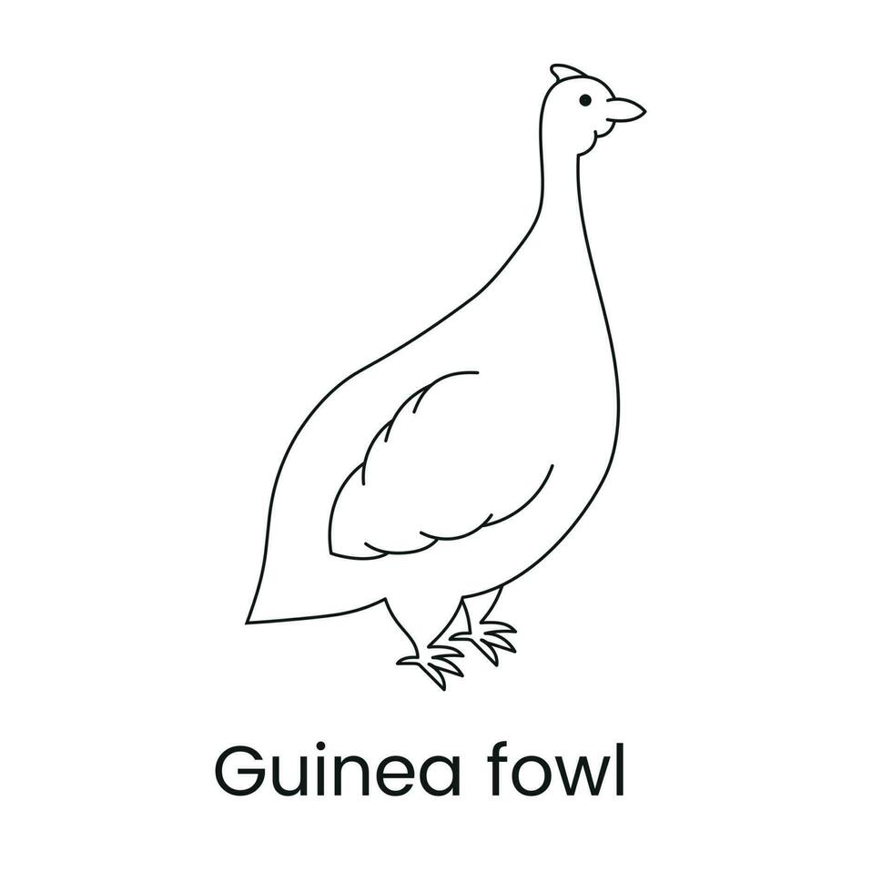 Guinée volaille icône ligne dans vecteur, illustration de une oiseau. vecteur