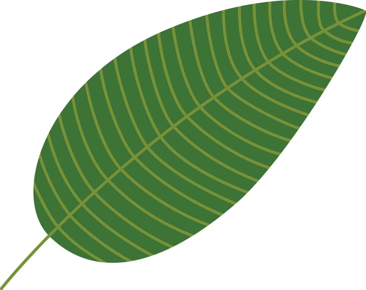 tropical feuille illustration vecteur