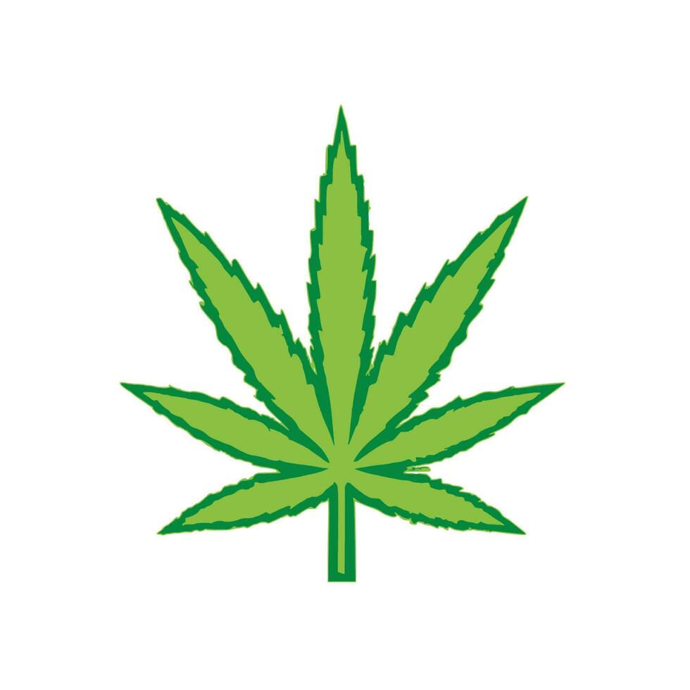 cannabis feuille vecteur conception