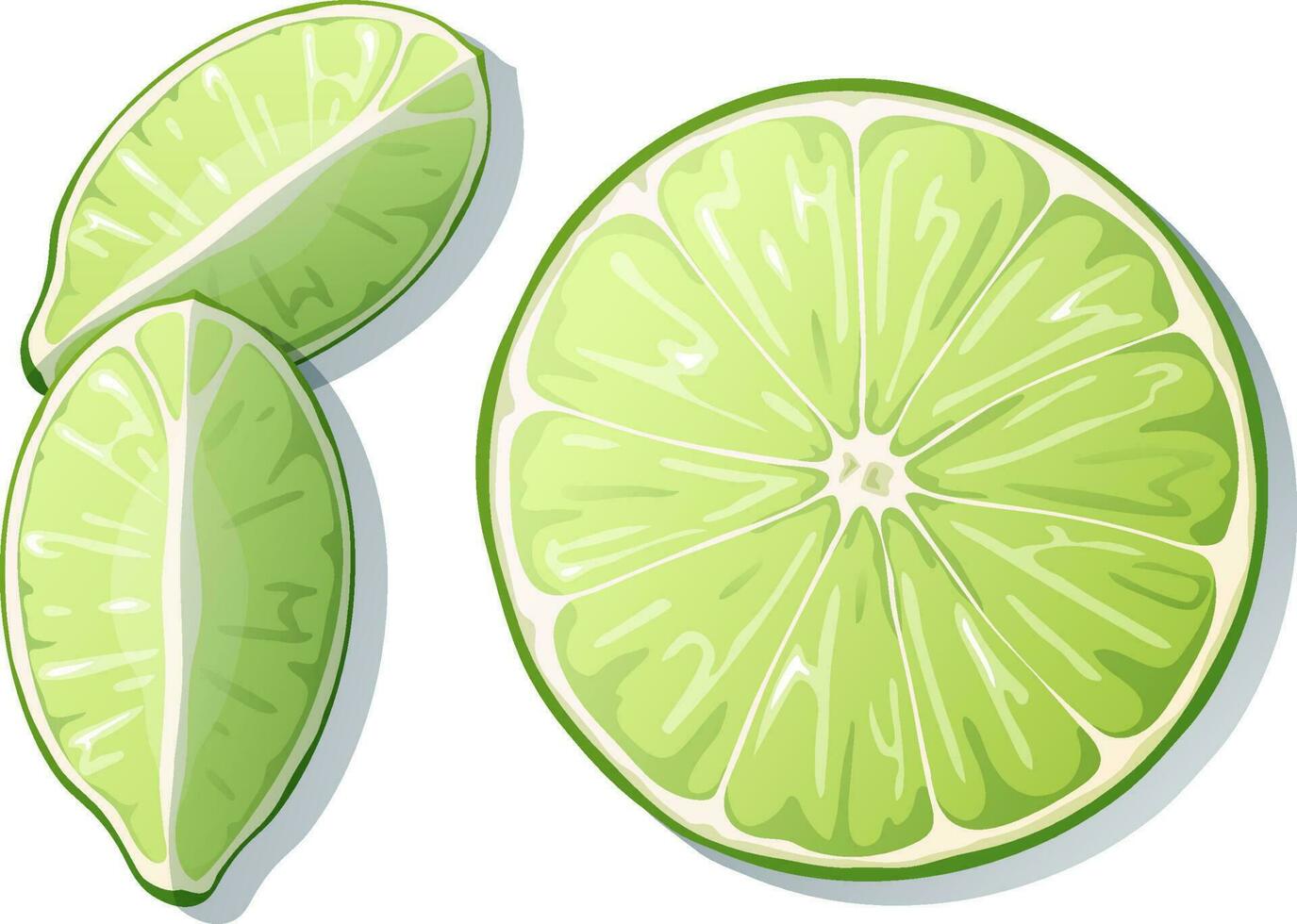 Frais Couper citron vert isolé sur blanc Contexte. vert agrumes fruit. vecteur illustration de citron vert tranche