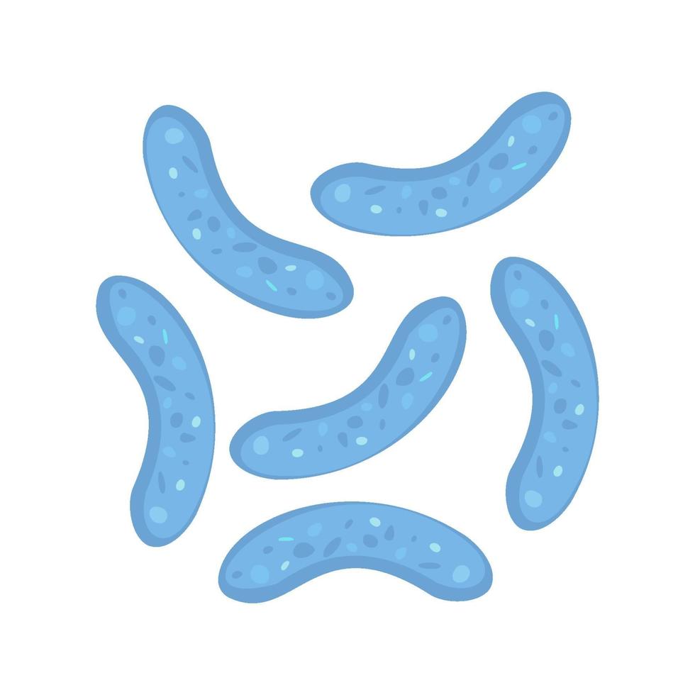 Le symbole de bifidobacterium lactobacillus bifidus peut être utilisé pour la bannière web de yaourt illustration de concept de fermentation microbiologie médicale isolé sur fond blanc vecteur