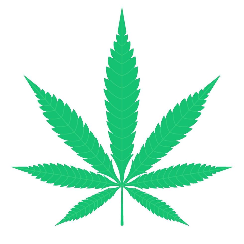cannabis vert feuille clipart icône cbd pharmacoloogy médical légal narcotique hash huile concept organique peut être utilisé pour la bannière cosmétique web ou app stock vector illustration isolé sur fond blanc dans un style cartoon plat