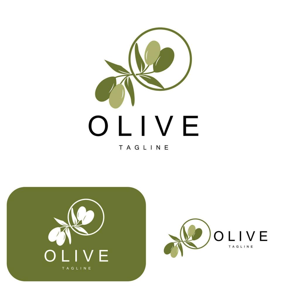 olive logo, olive pétrole plante vecteur, Naturel à base de plantes santé médicament conception, illustration modèle icône vecteur