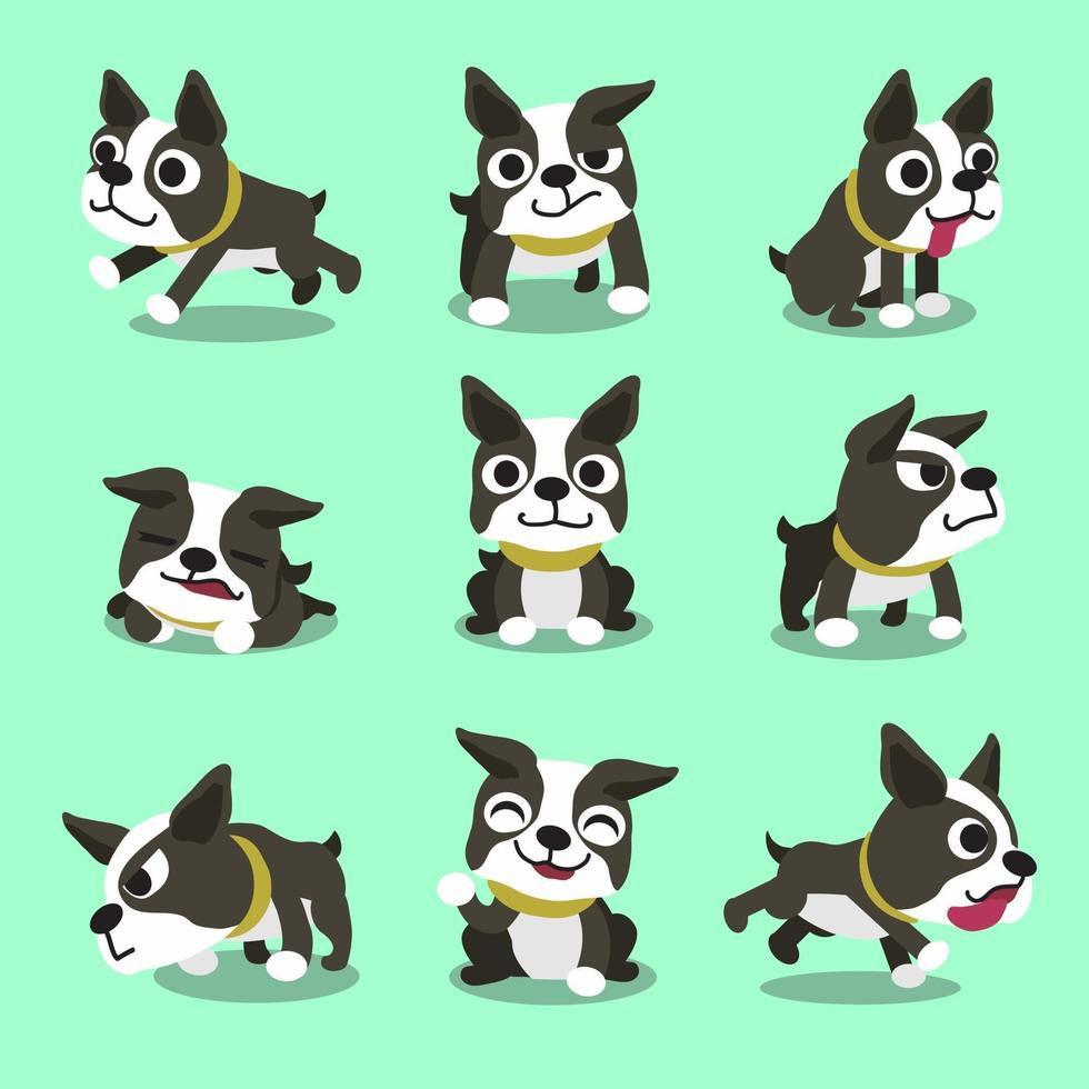 personnage de dessin animé boston terrier chien pose vecteur