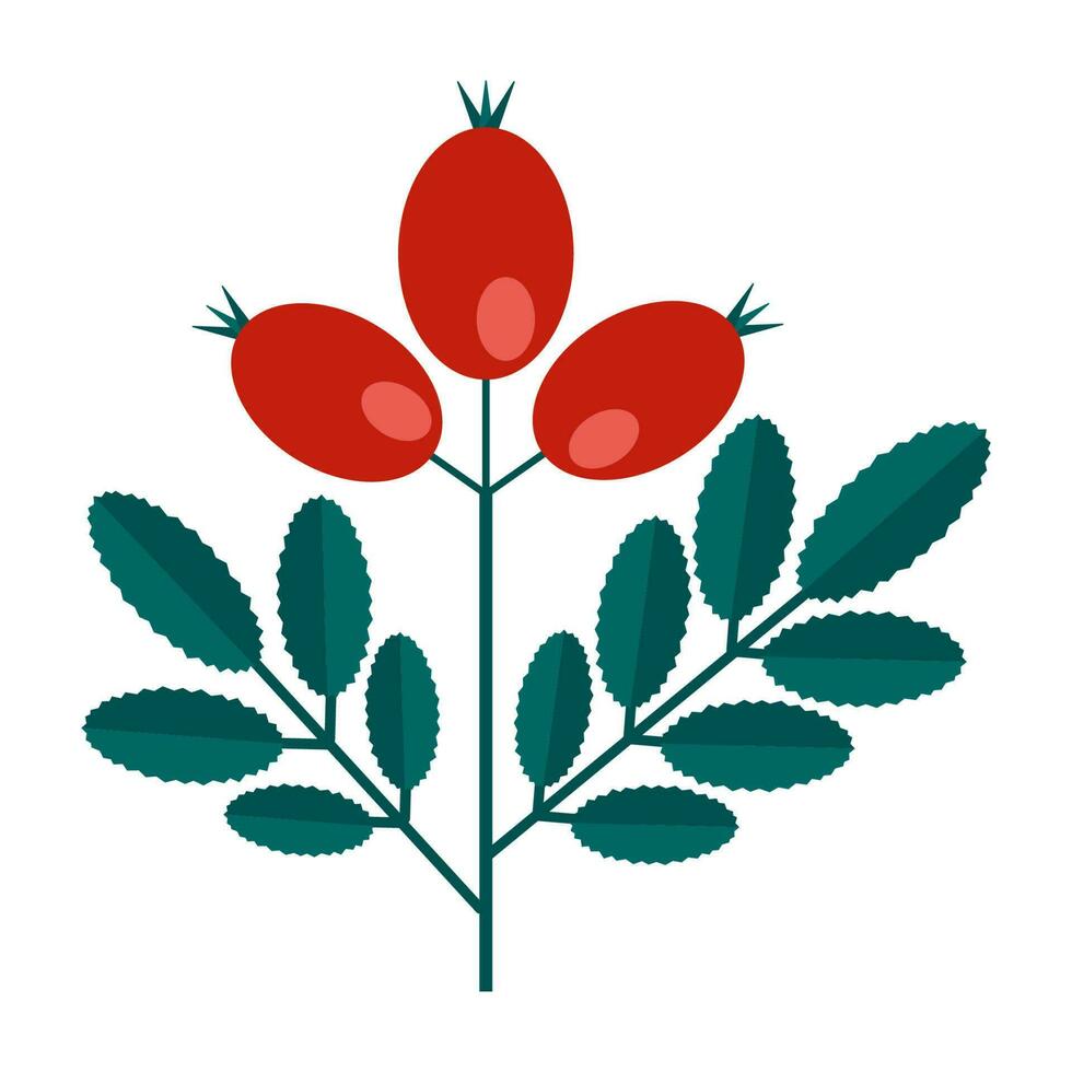 vert branche de une chien Rose avec feuilles et rouge baies Facile minimaliste. floral collection de coloré élégant les plantes pour saisonnier décoration. stylisé Icônes de botanique. Stock vecteur illustration
