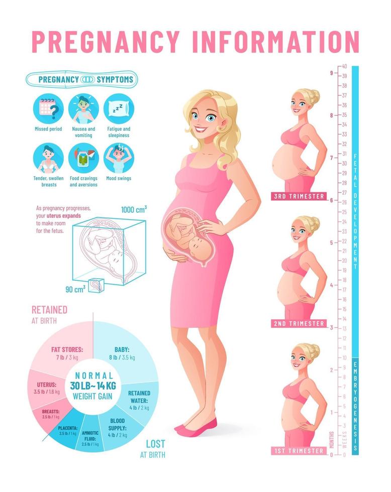 infographie de grossesse avec illustration vectorielle de femme enceinte en bonne santé vecteur