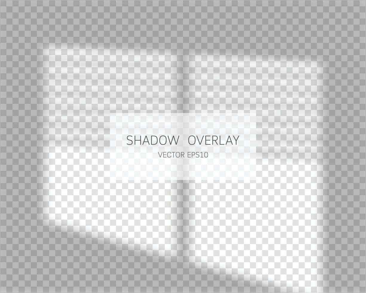 Effet de superposition d'ombre ombres naturelles de la fenêtre isolée vecteur