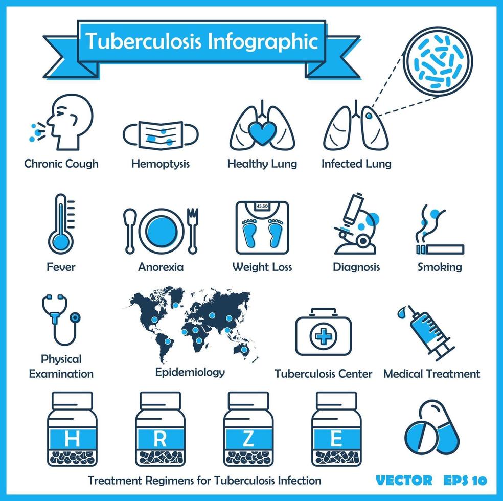 tuberculose tb infographie avec symptômes vecteur