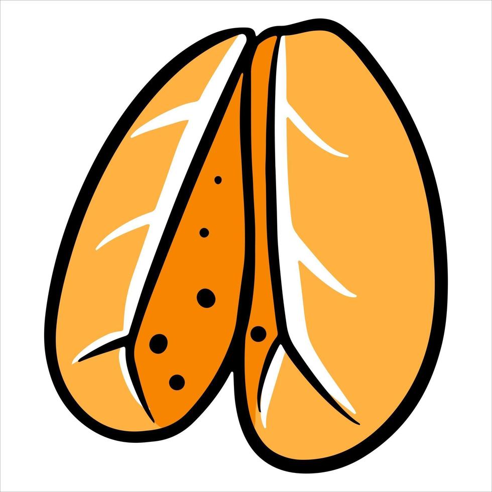 mandarine pelée mandarine agrumes style de bande dessinée vitamine c vecteur