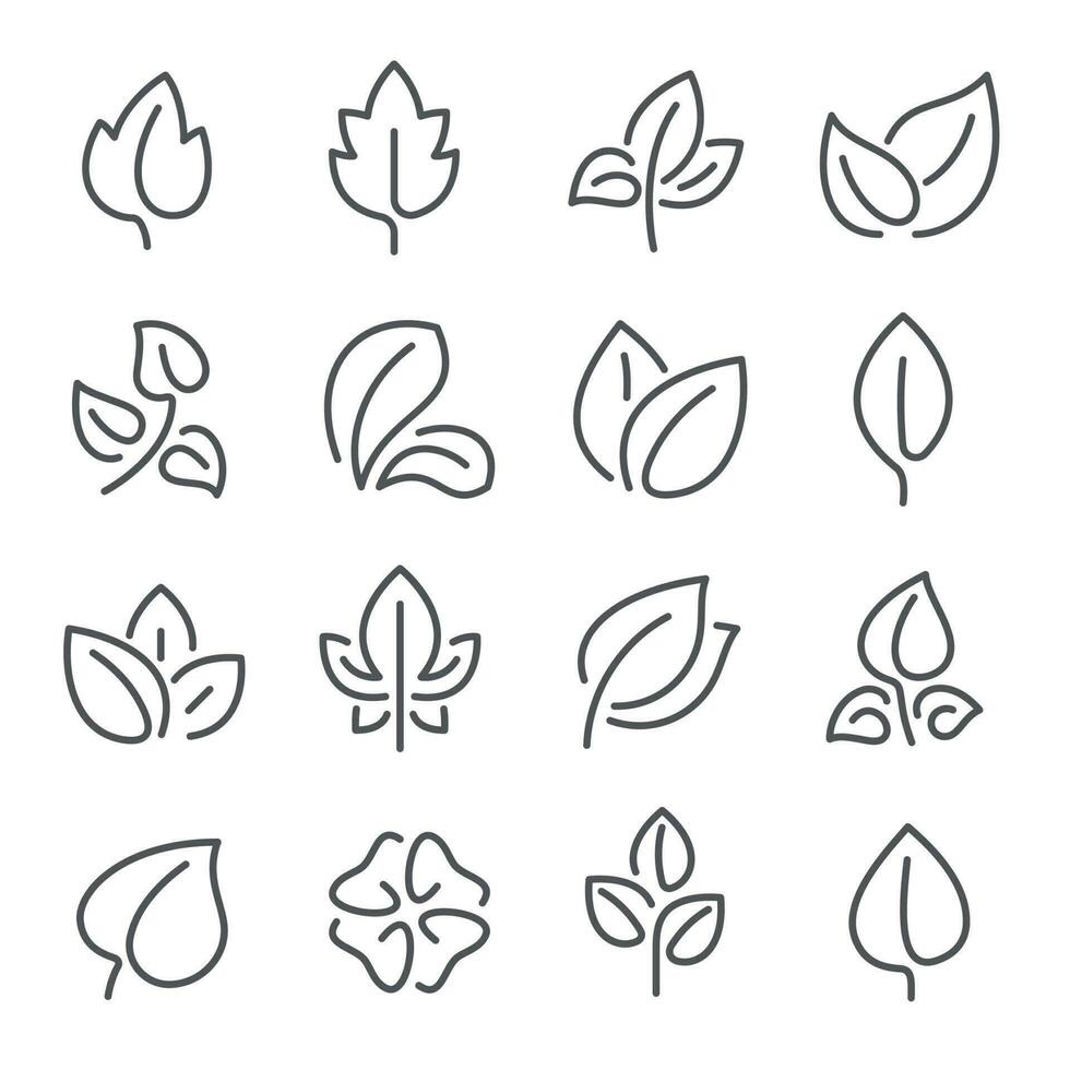 Naturel feuille ligne Icônes. Jeune feuilles de végétaux, forêt arbre feuilles et éco légumes verts engrais vecteur contour pictogramme symbole ensemble