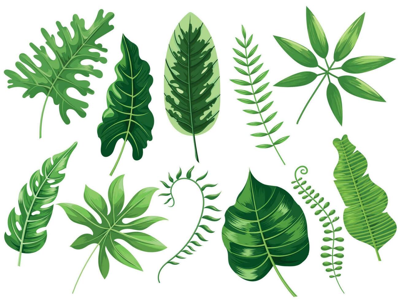 tropical feuilles. exotique tropique feuille, botanique forêt tropicale et tropiques Voyage feuilles La peinture dessin animé vecteur isolé illustration ensemble