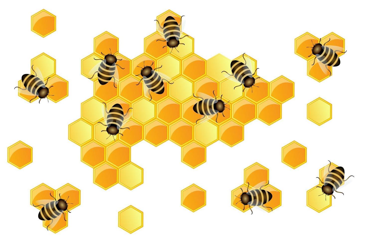 Image vectorielle du contour des continents et des continents sous forme de nids d'abeilles vecteur