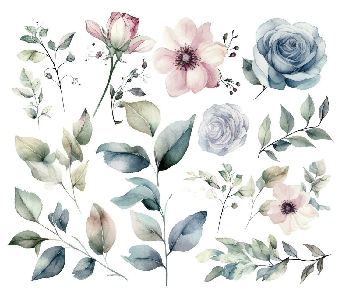 ensemble de aquarelle fleurs feuilles et brindilles sur une blanc Contexte vecteur