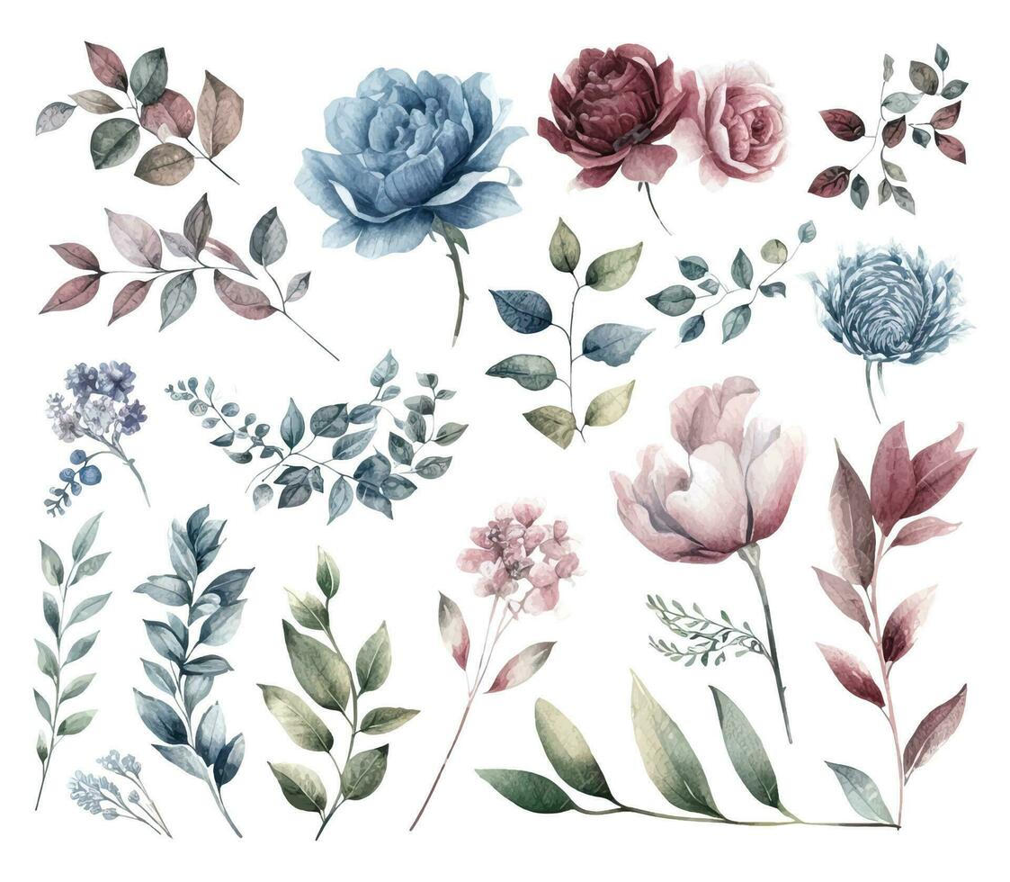 ensemble de aquarelle fleurs feuilles et brindilles sur une blanc Contexte vecteur