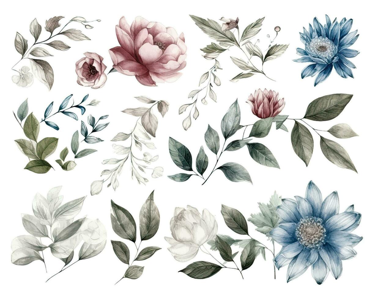 ensemble de aquarelle fleurs feuilles et brindilles sur une blanc Contexte vecteur