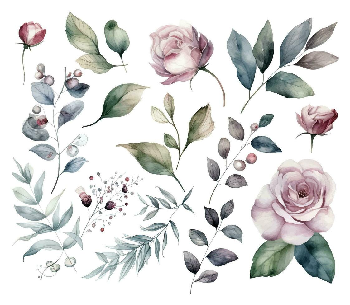 ensemble de aquarelle fleurs feuilles et brindilles sur une blanc Contexte vecteur