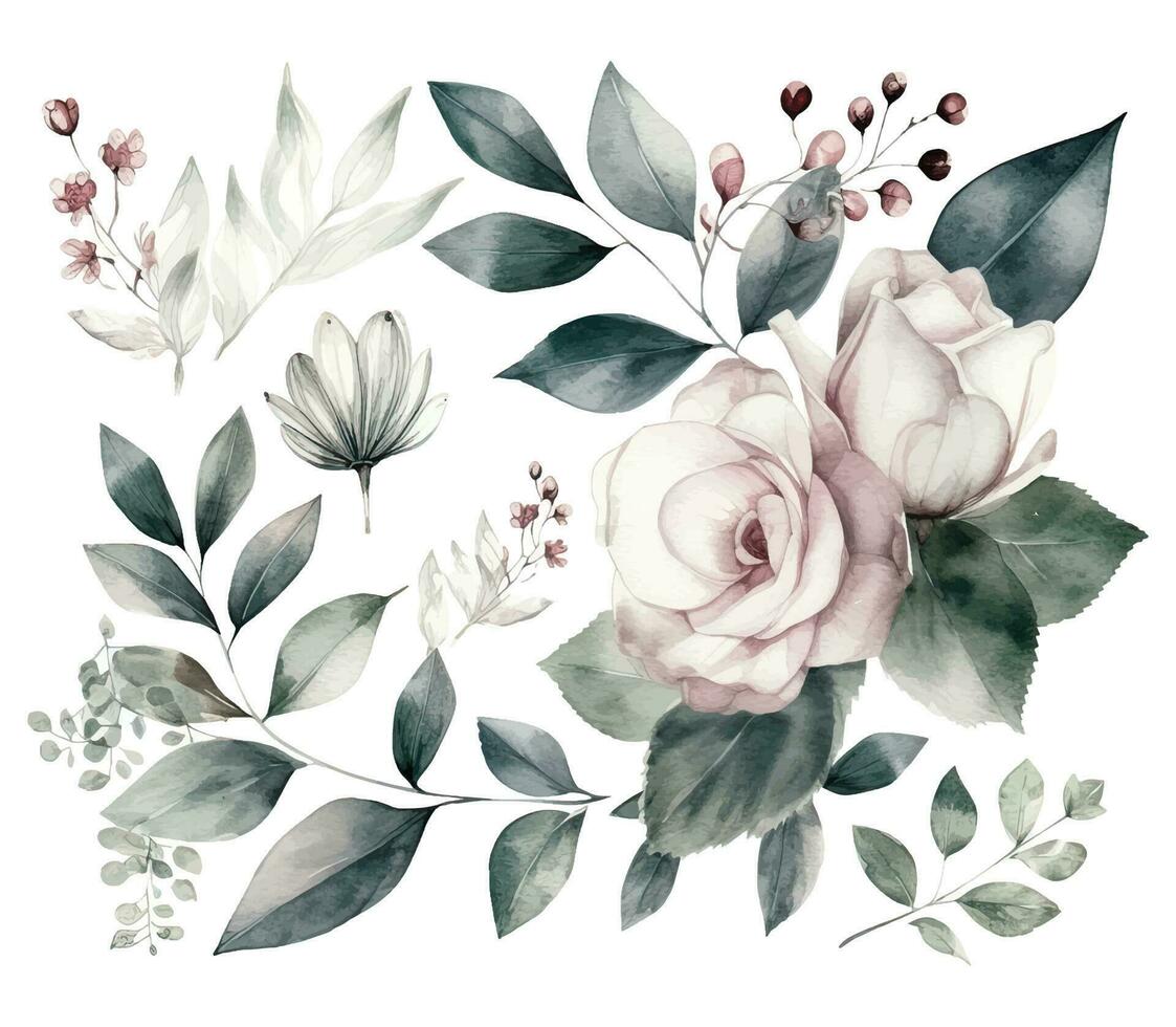 ensemble de aquarelle fleurs feuilles et brindilles sur une blanc Contexte vecteur