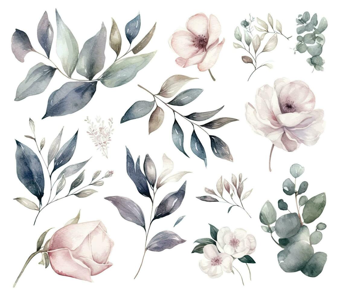 ensemble de aquarelle fleurs feuilles et brindilles sur une blanc Contexte vecteur