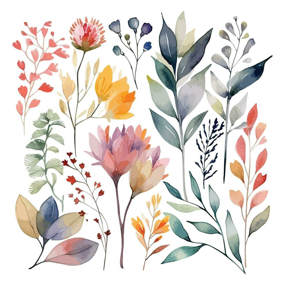 ensemble de aquarelle fleurs feuilles et brindilles sur une blanc Contexte vecteur