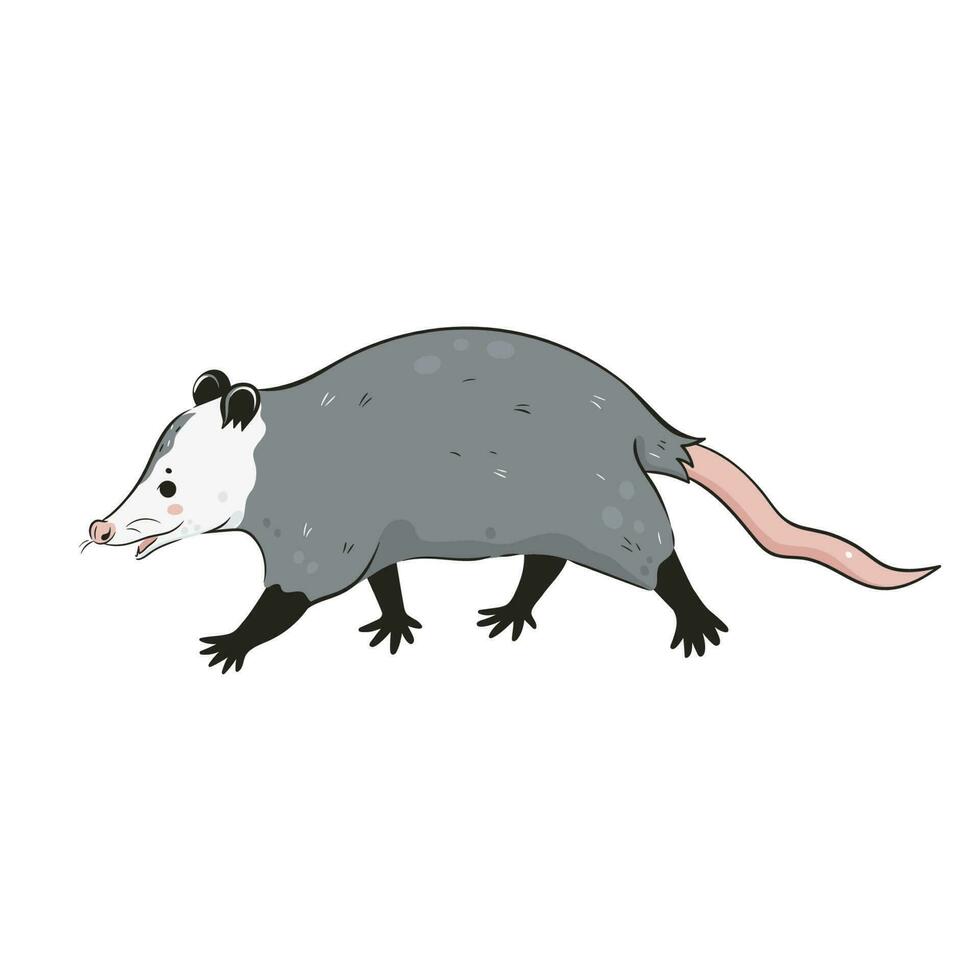 mignonne opossum isolé sur une blanc Contexte. vecteur graphique.