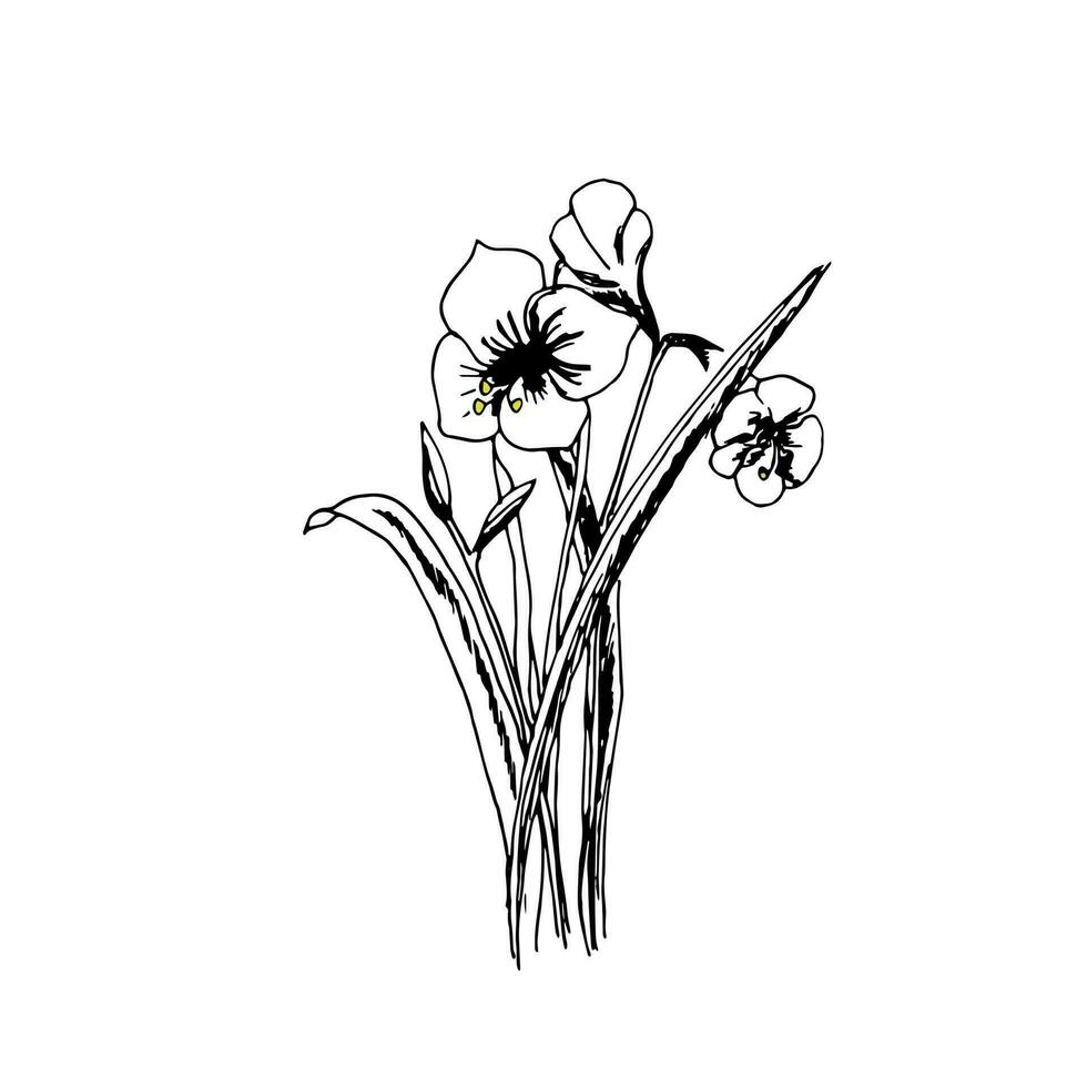 monochrome sauvage fleurs bouquet. vecteur illustration griffonnage style. artistique élément pour conception.